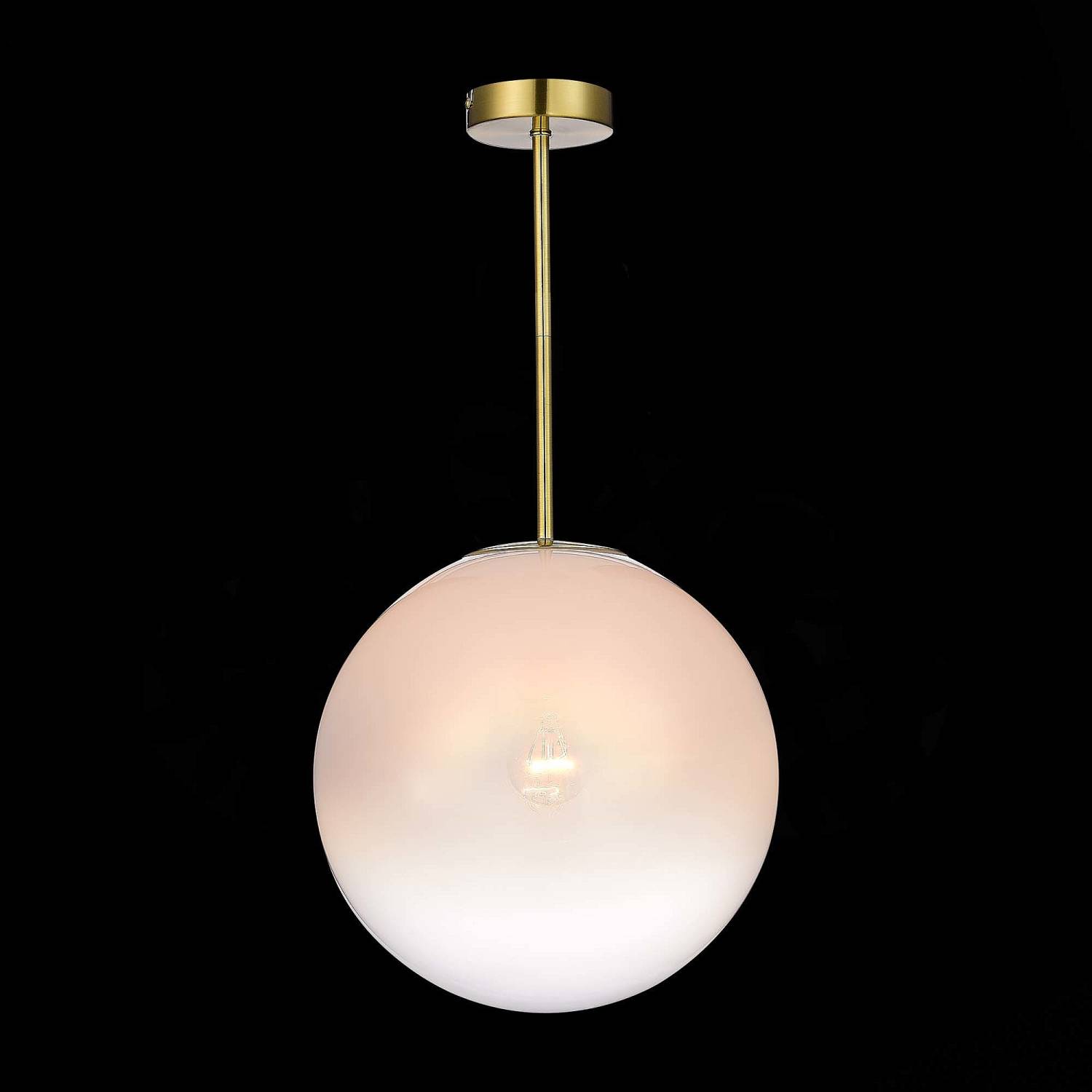 Светильник потолочный ST Luce Cassius SL1190.212.01 Светильник потолочный ST Luce Cassius SL1190.212.01