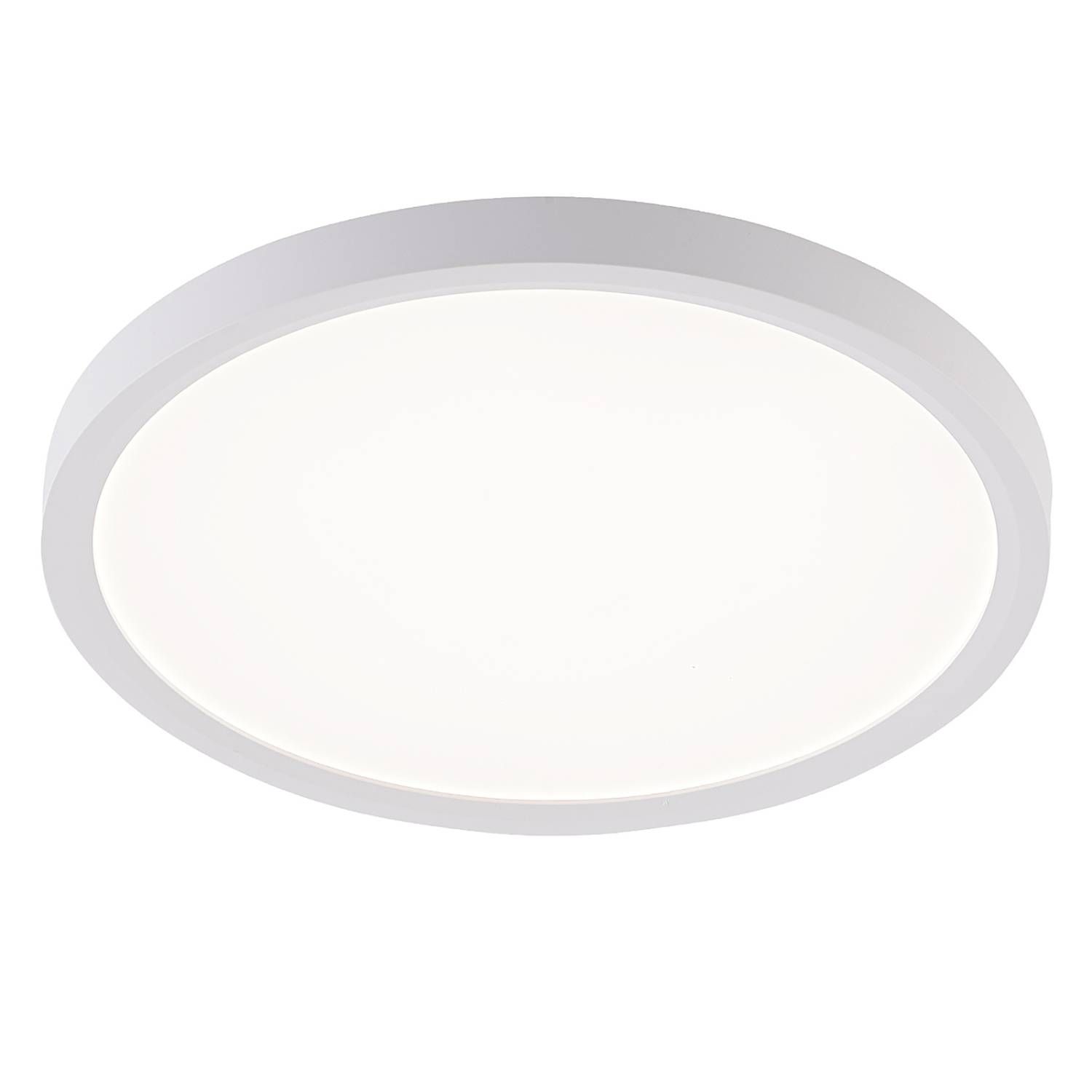 Светильник потолочный Natali Kovaltseva Plain LED LAMPS 81113/2C