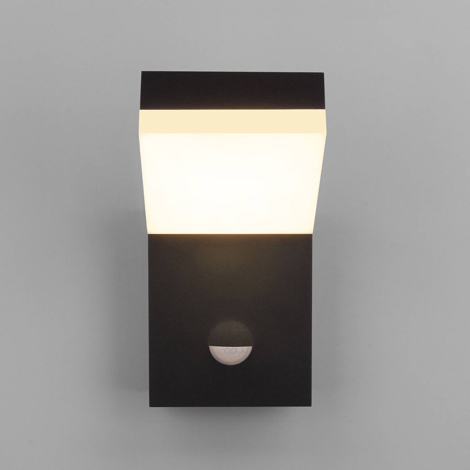 Уличный настенный светильник Elektrostandard Sensor 1541 TECHNO LED с датчиком движения 3000K Чёрный