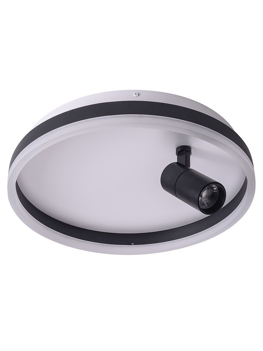 Светильник потолочный Zortes Raizy ZRS.1888.03