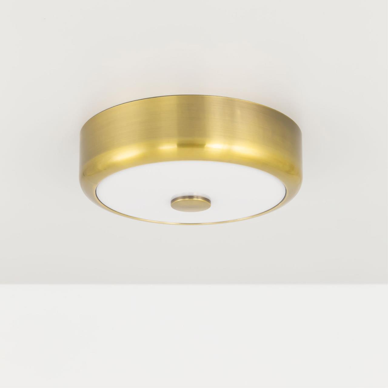 Потолочный светодиодный светильник Citilux Фостер-1 CL706112