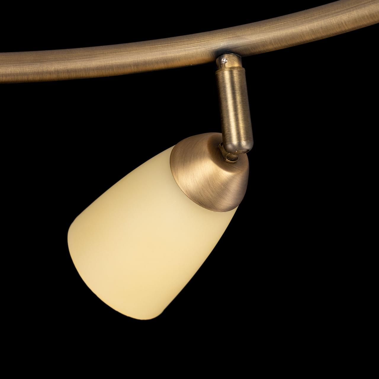 Потолочная люстра Citilux Белла CL501163