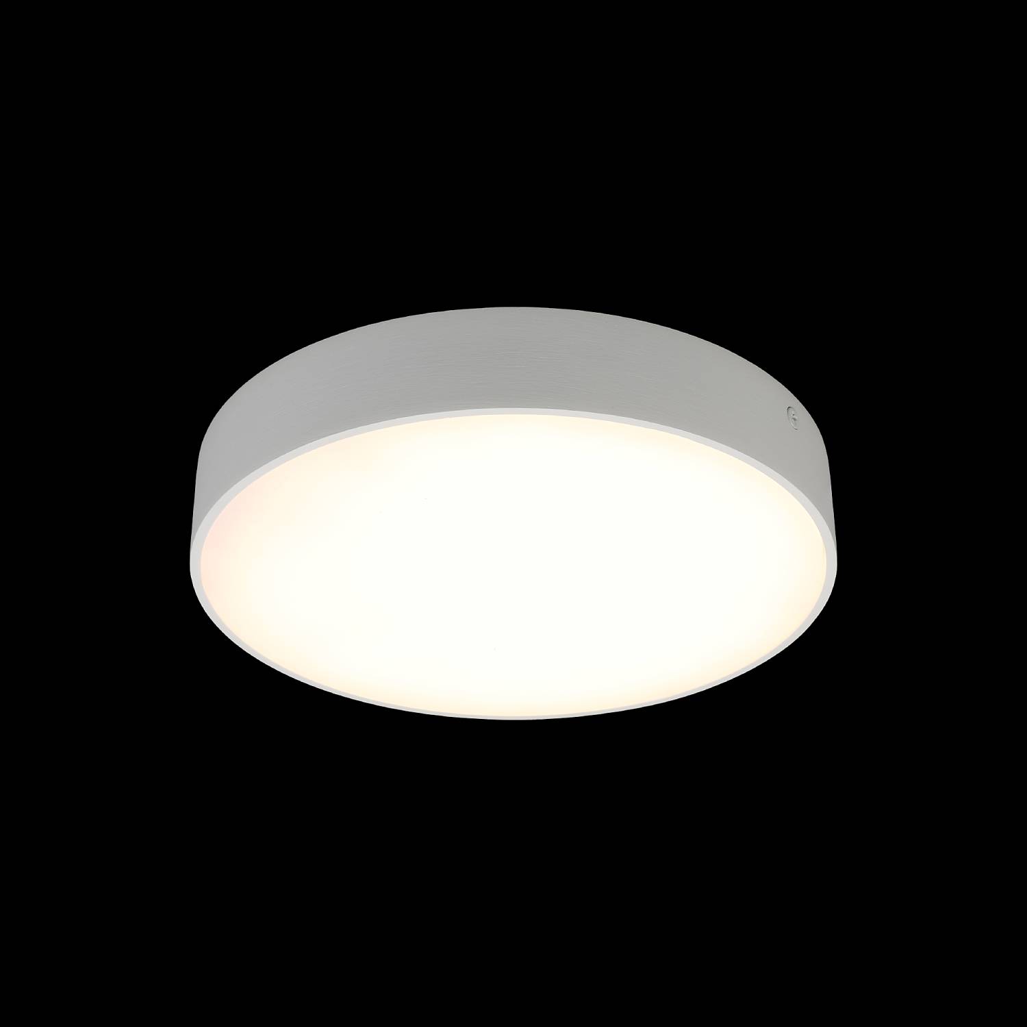 Светильник потолочный Aployt Evon APL.0113.09.24