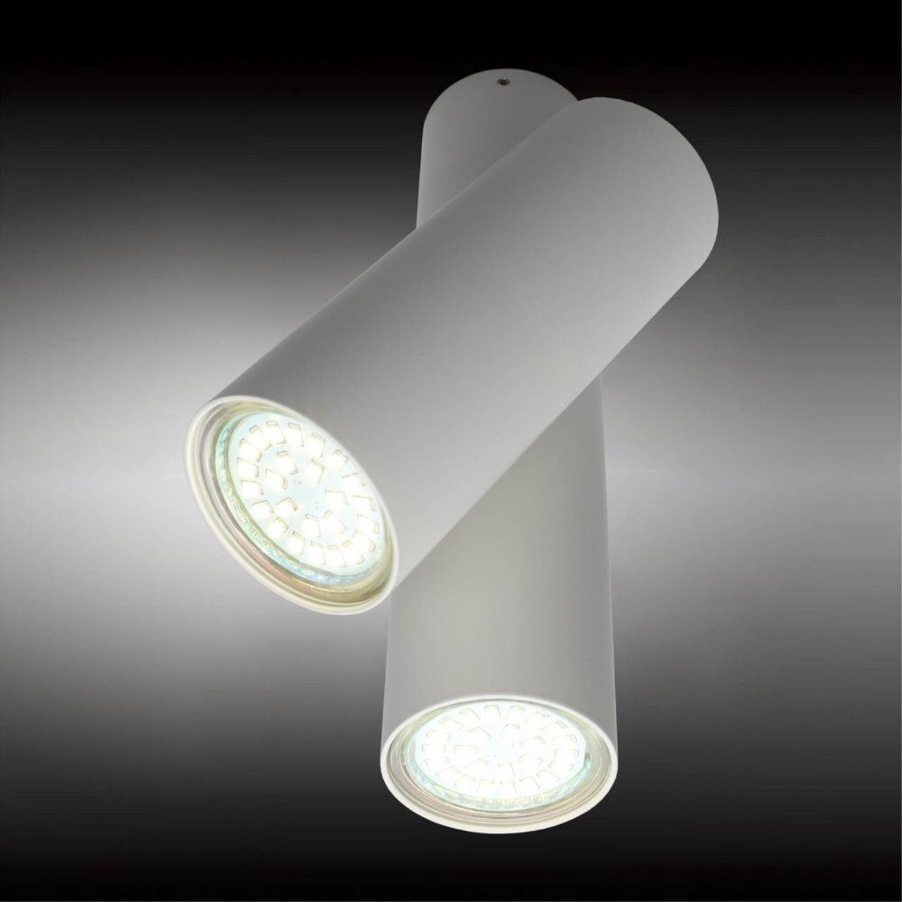 Светильник спот Aployt Aksel APL.006.02.02