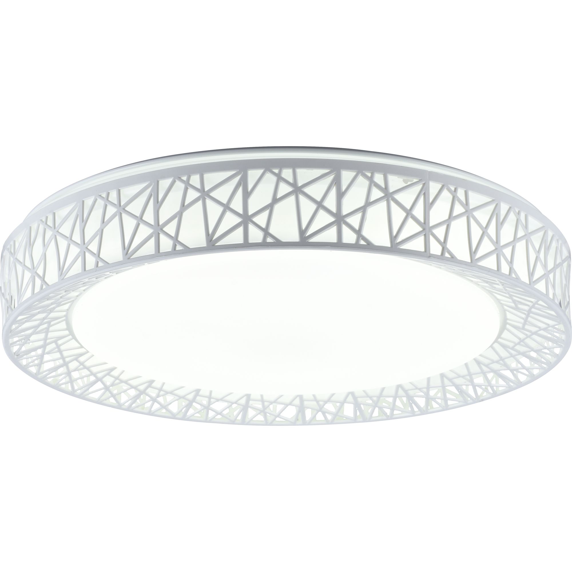 Потолочная светодиодная люстра Diana Toplight TL1204X-72WH