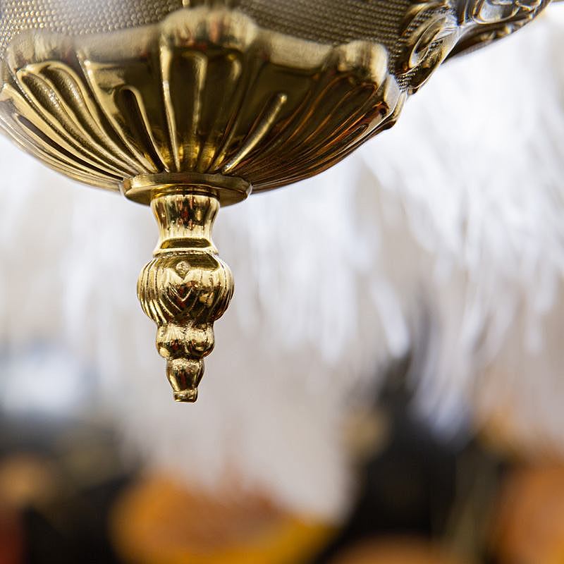 Подвесная люстра L'Arte Luce Luxury Feather Lamp L03408.02