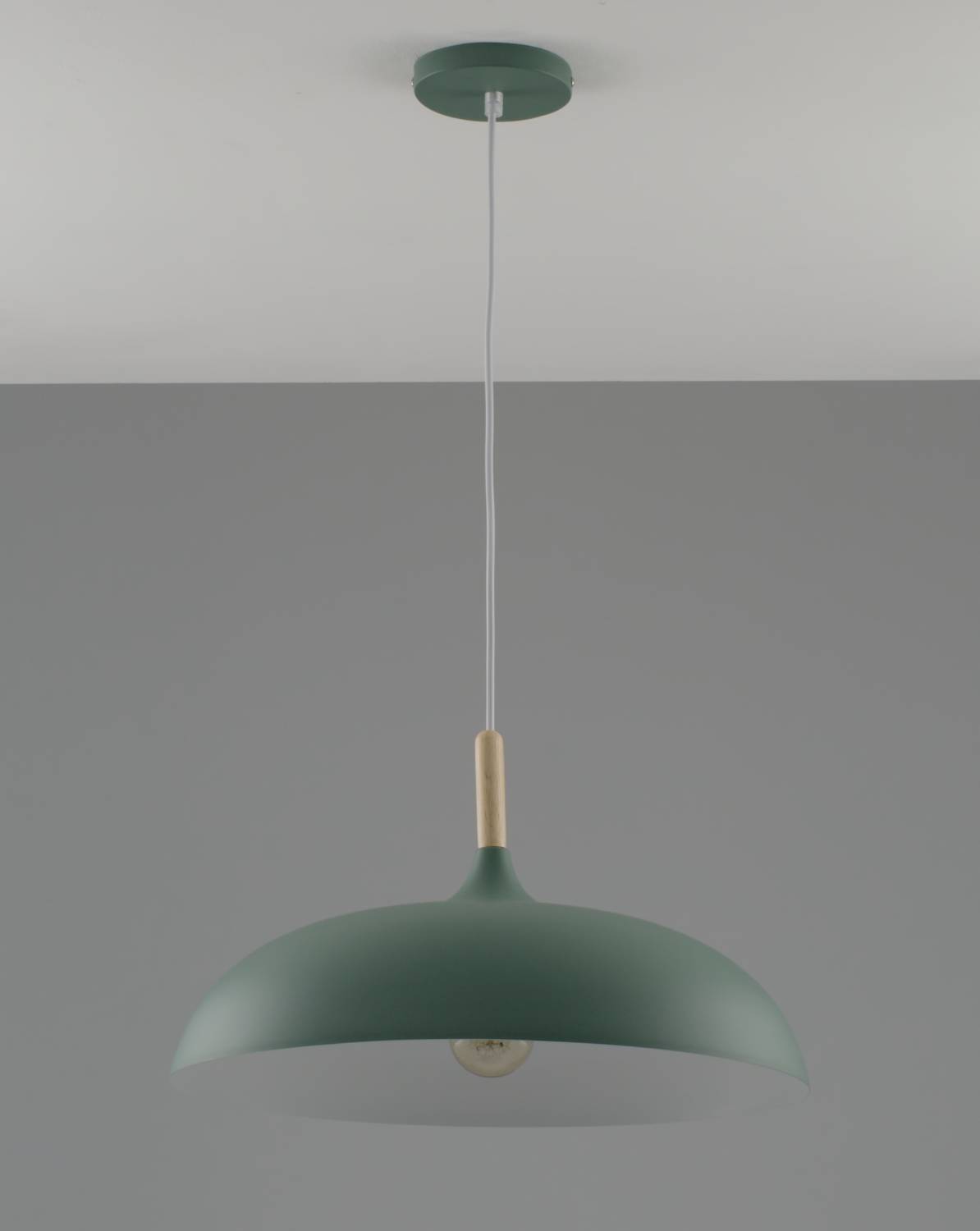 Светильник подвесной Moderli Hygo V10656-1P