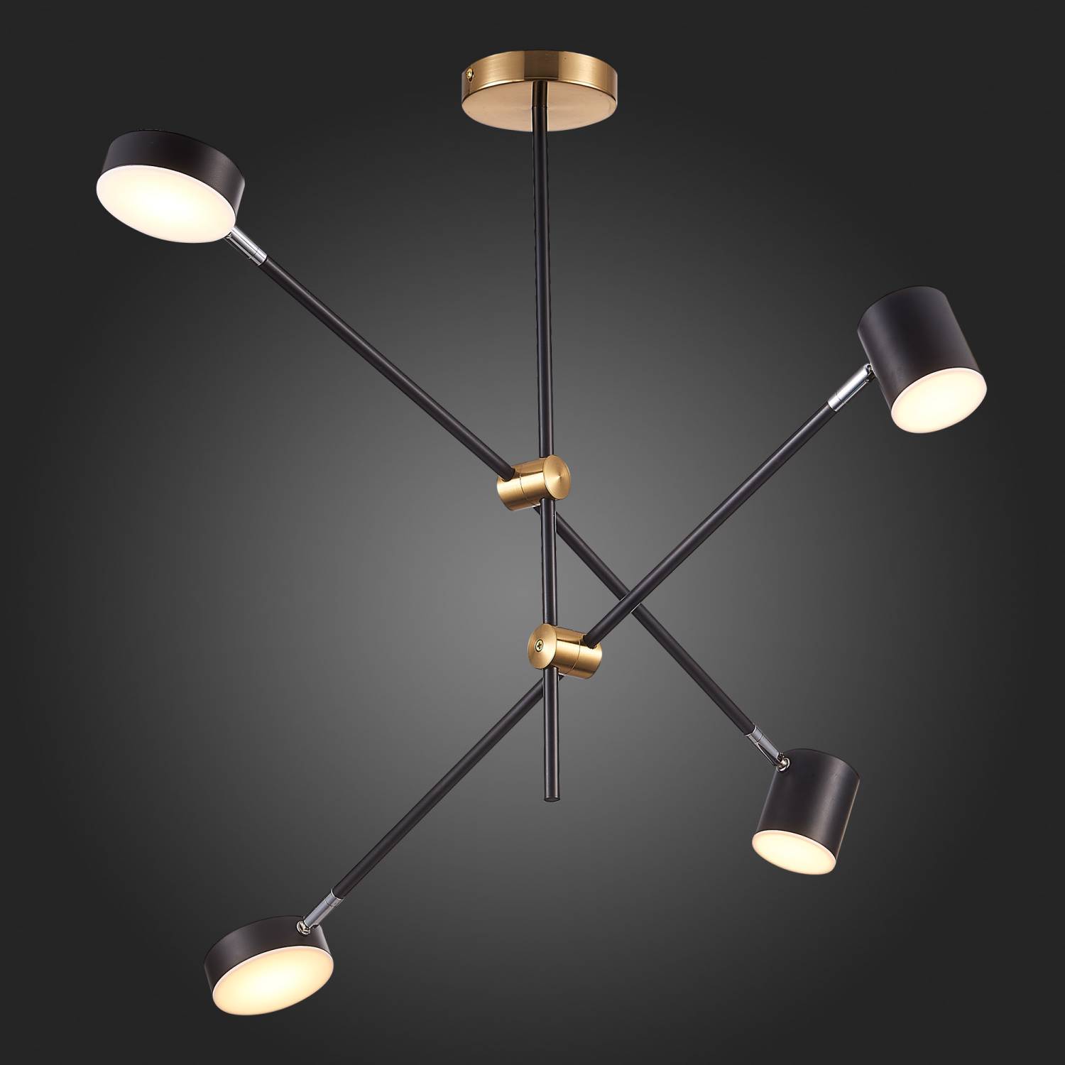 Потолочная люстра ST Luce Rodrigo SL1604.432.04 Потолочная люстра ST Luce Rodrigo SL1604.432.04