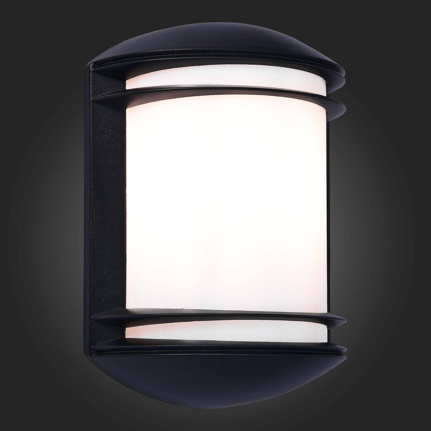 Уличный настенный светильник ST Luce Agio SL076.401.01