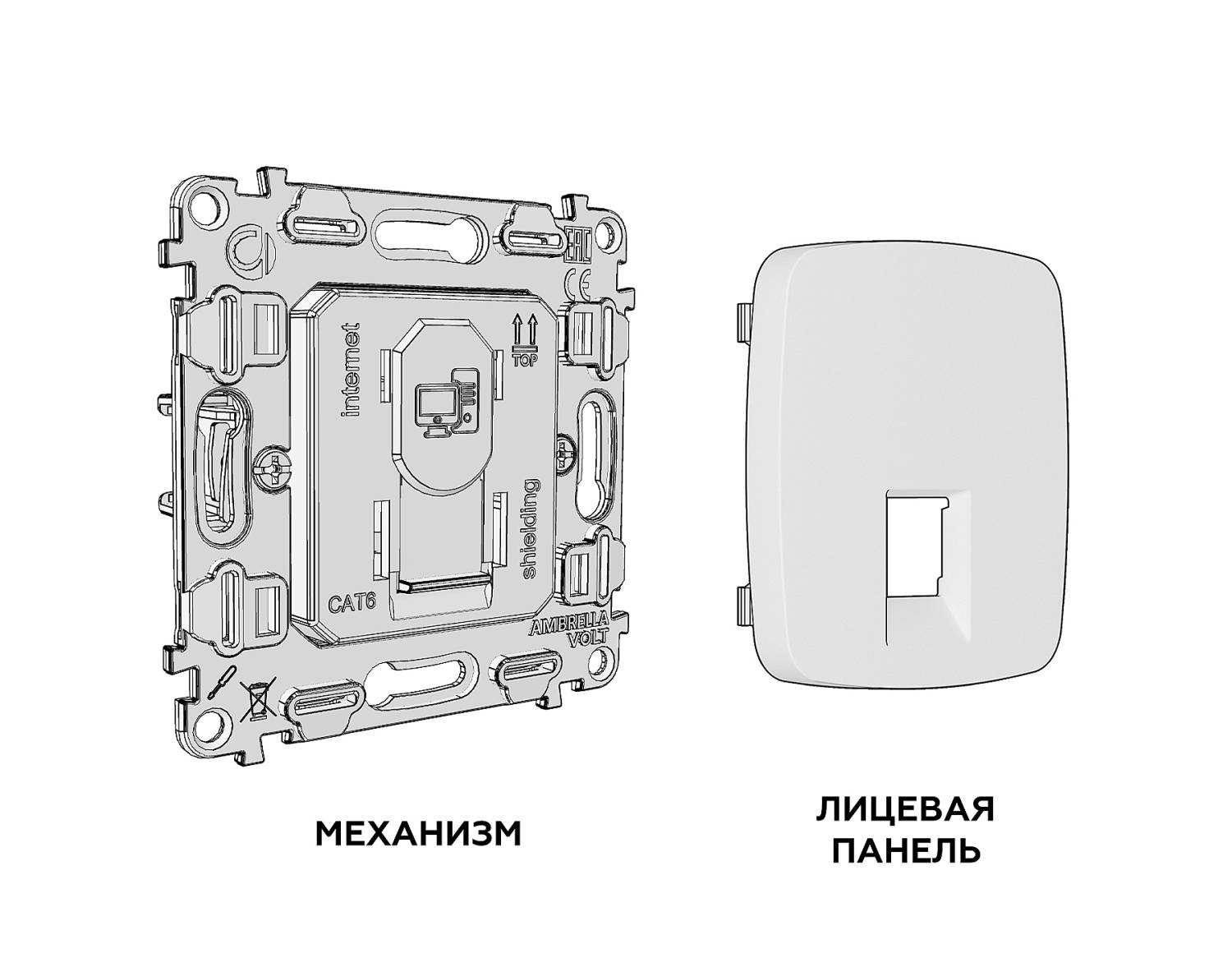 Розетка Ambrella Volt OMEGA MO612005