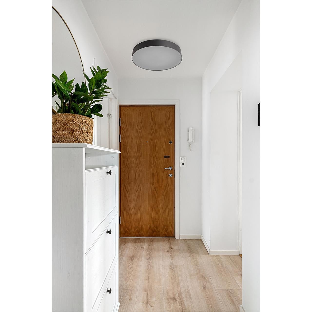 Настенно потолочный светильник Sonex Optima 7780/DLN