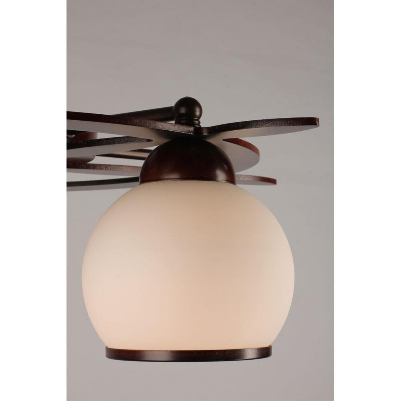 Потолочная люстра Omnilux Fronteira OML-50507-05 Потолочная люстра Omnilux Fronteira OML-50507-05