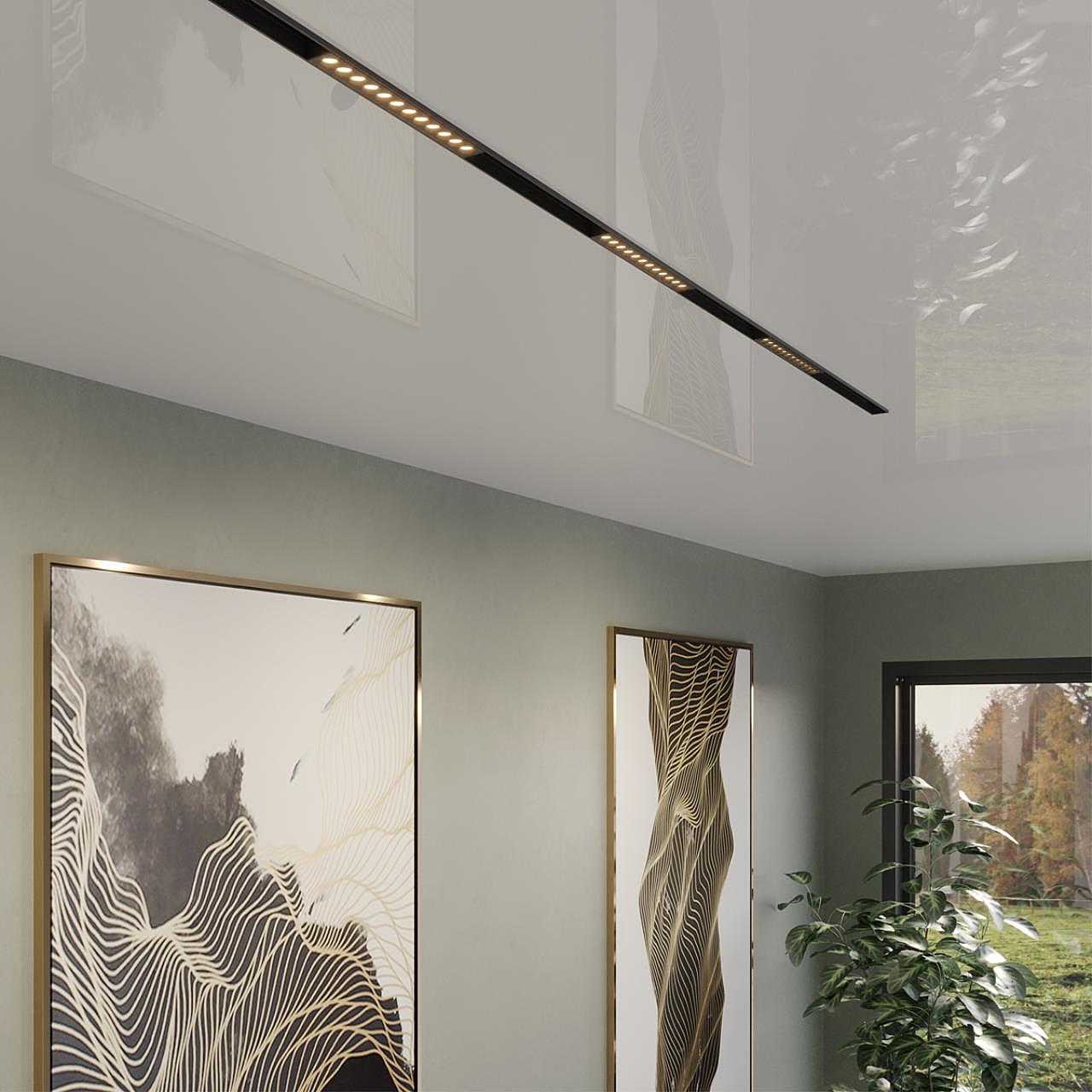 Трековый светильник Novotech Vector 359930