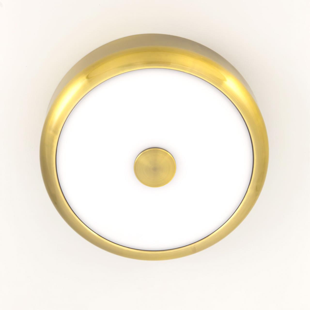 Потолочный светодиодный светильник Citilux Фостер-1 CL706112