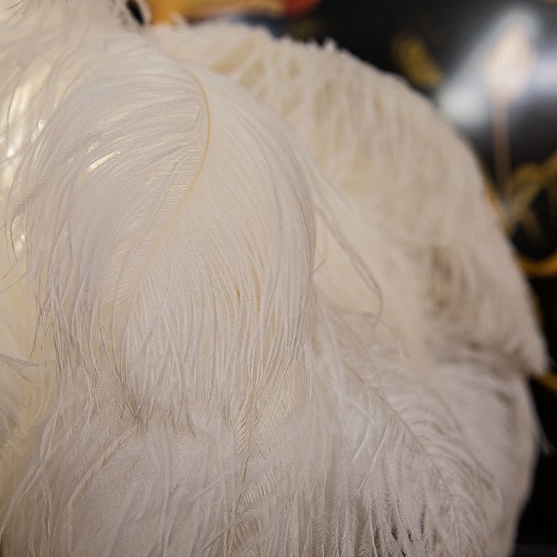 Настольная лампа L'Arte Luce Luxury Feather Lamp L03431.02