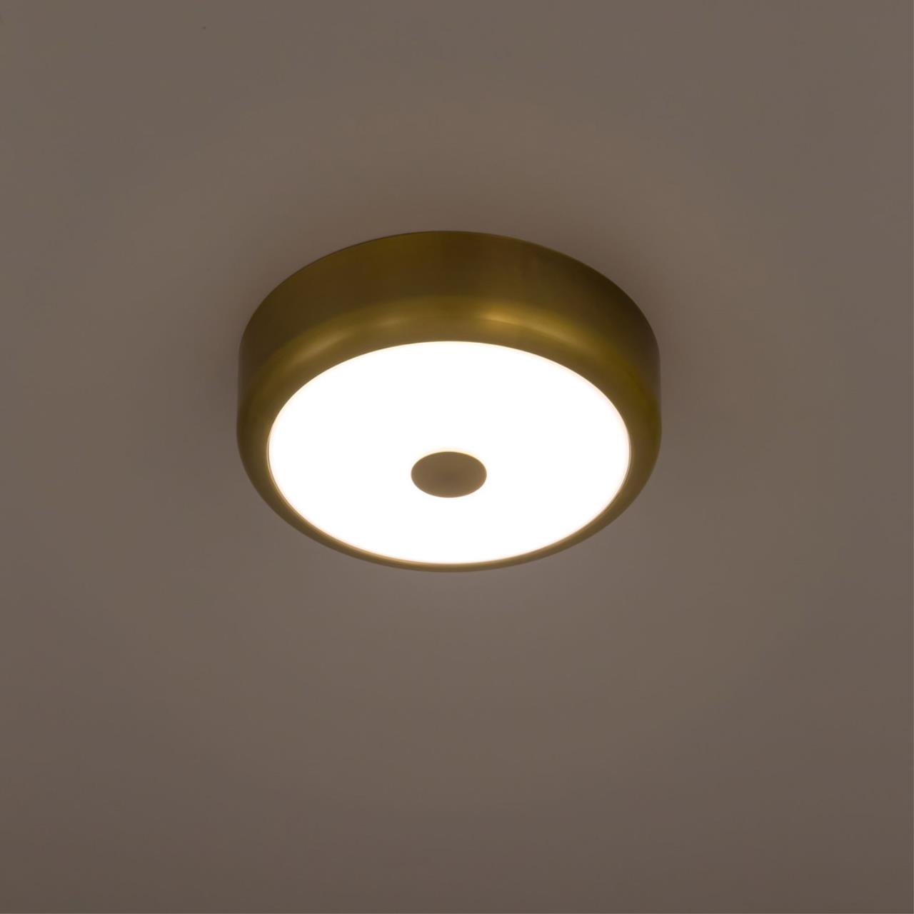 Потолочный светодиодный светильник Citilux Фостер-1 CL706112