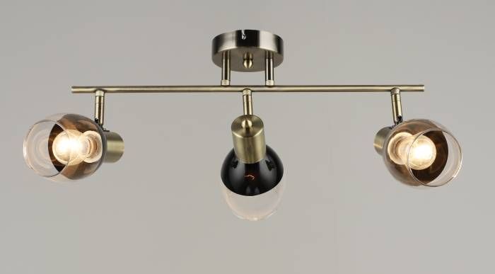 Светильник спот Мелодия Света 000080216 Светильник спот Мелодия Света 000080216