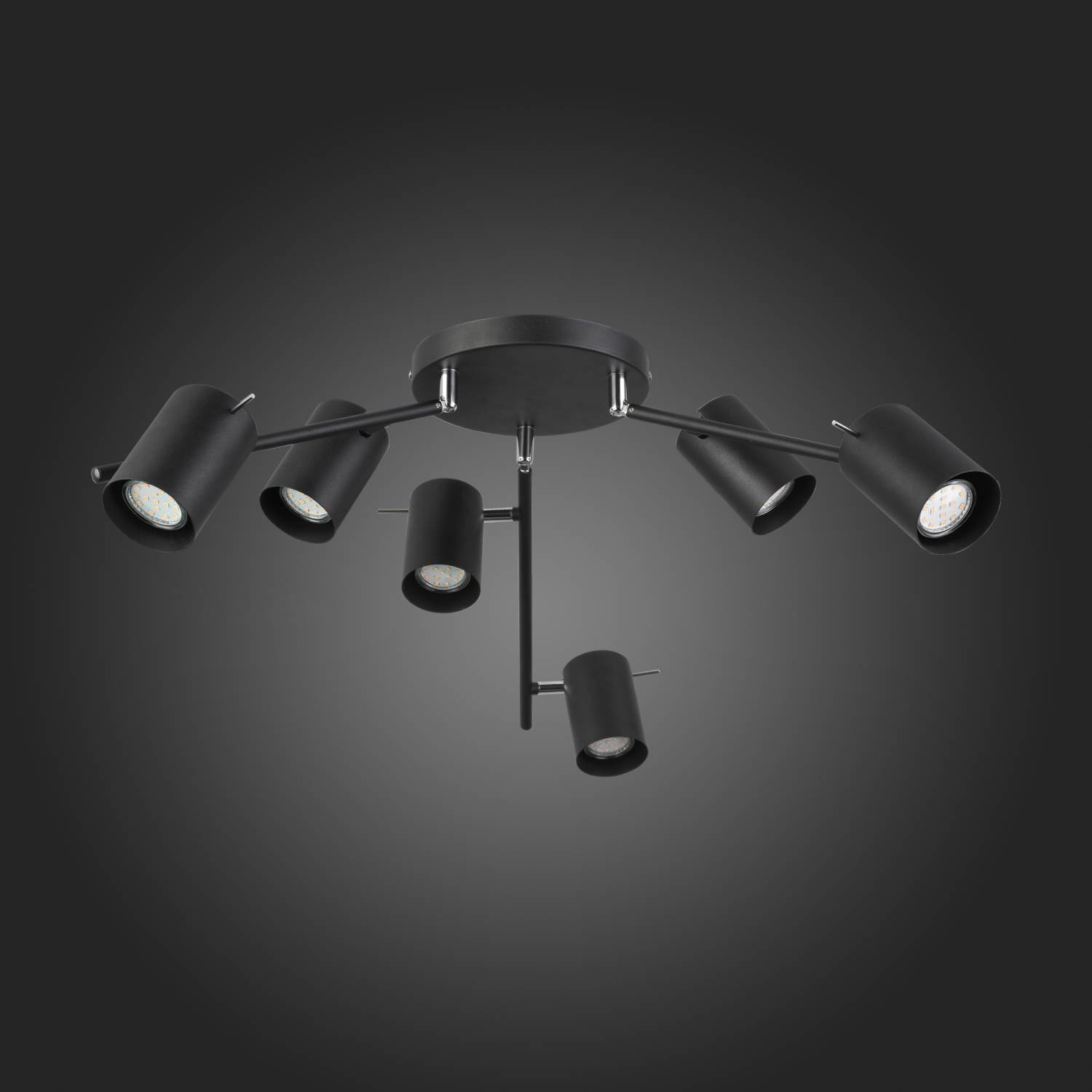 Потолочная люстра ST Luce Fanale SL597.402.06