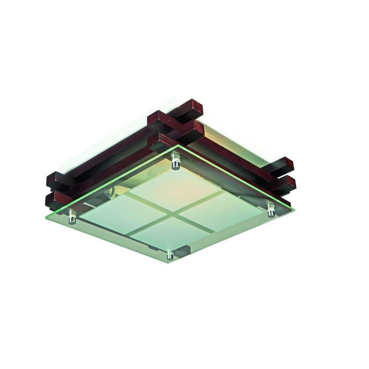 Настенно потолочный светильник Omnilux Carvalhos OML-40507-02