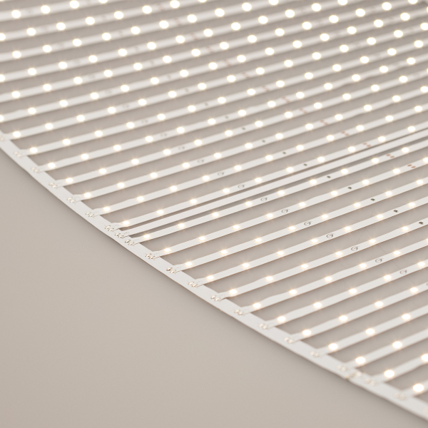 LED лента Arlight 027120