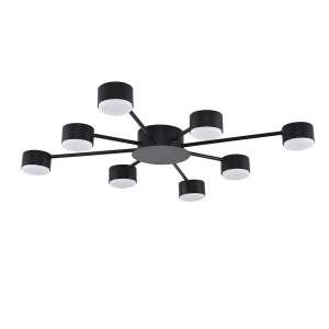 Потолочная люстра Lumion Torina 8344/8С