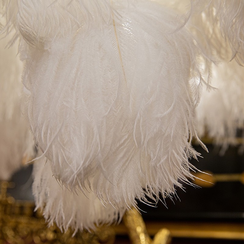 Настольная лампа L'Arte Luce Luxury Feather Lamp L03431.02