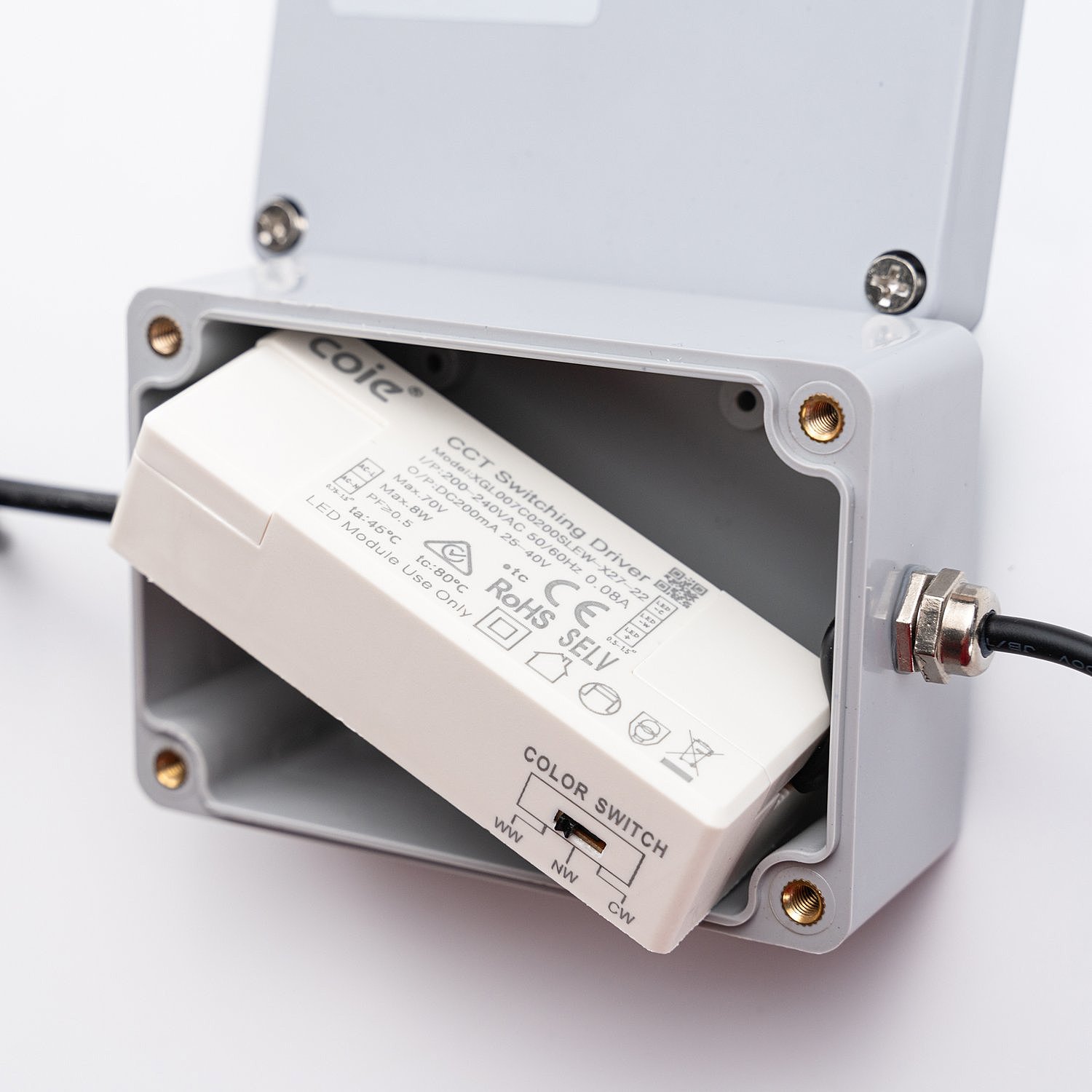 Уличный потолочный светильник Favourite Riga 4862-1U