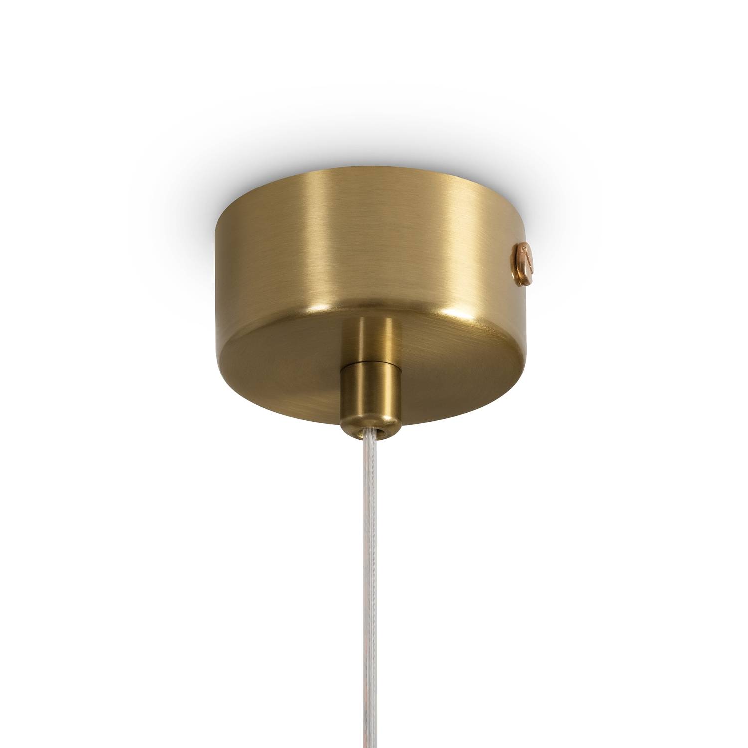 Светильник подвесной Freya Pareo FR5590PL-01BS