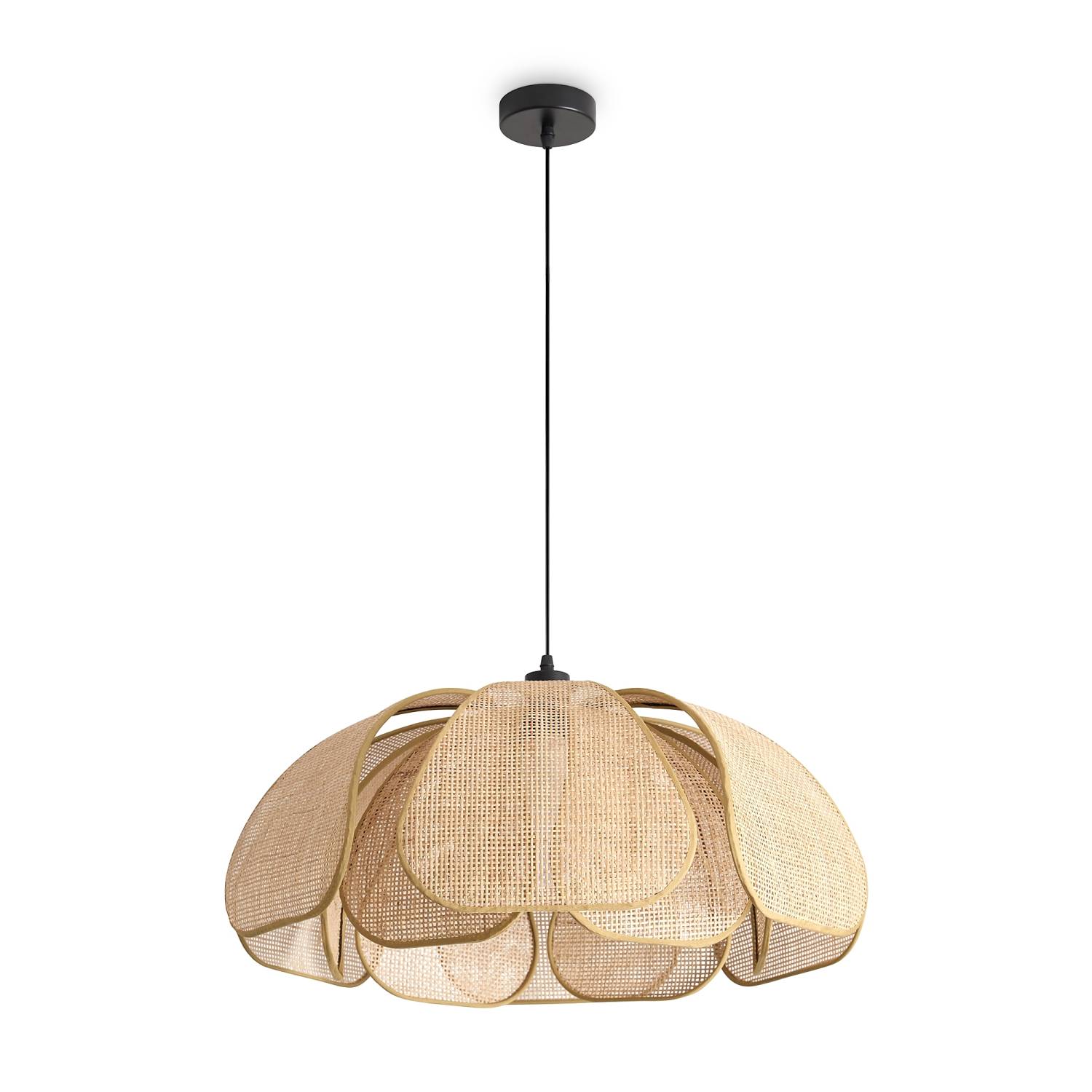 Светильник подвесной Freya Cocoon FR5529PL-01B