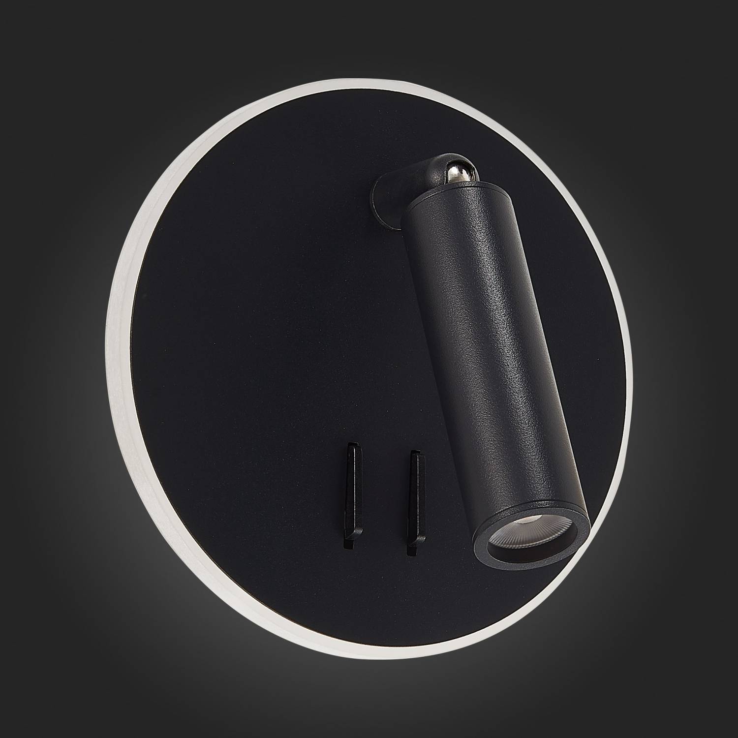 Настенный светильник ST Luce Bondi SL1586.413.01