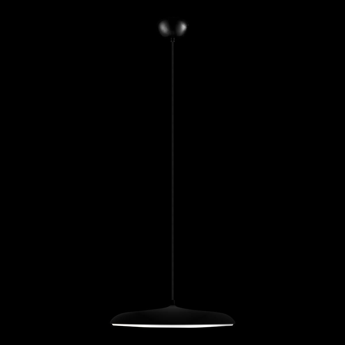 Светильник подвесной Loft It Plato 10119 Black