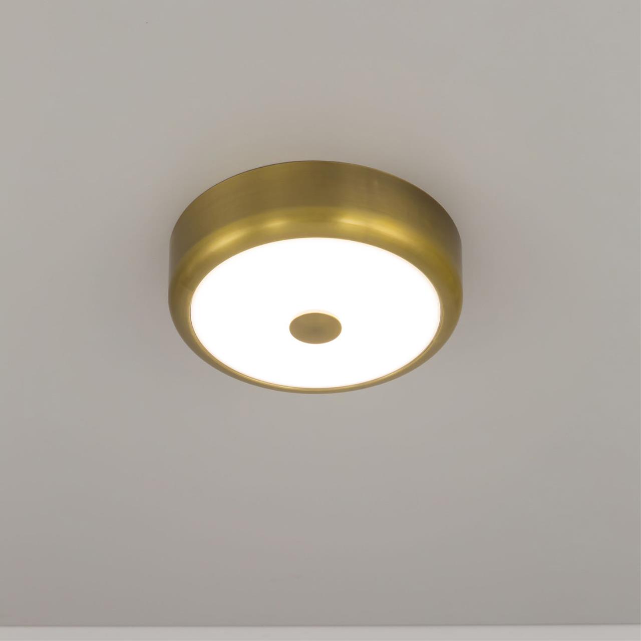 Потолочный светодиодный светильник Citilux Фостер-1 CL706112