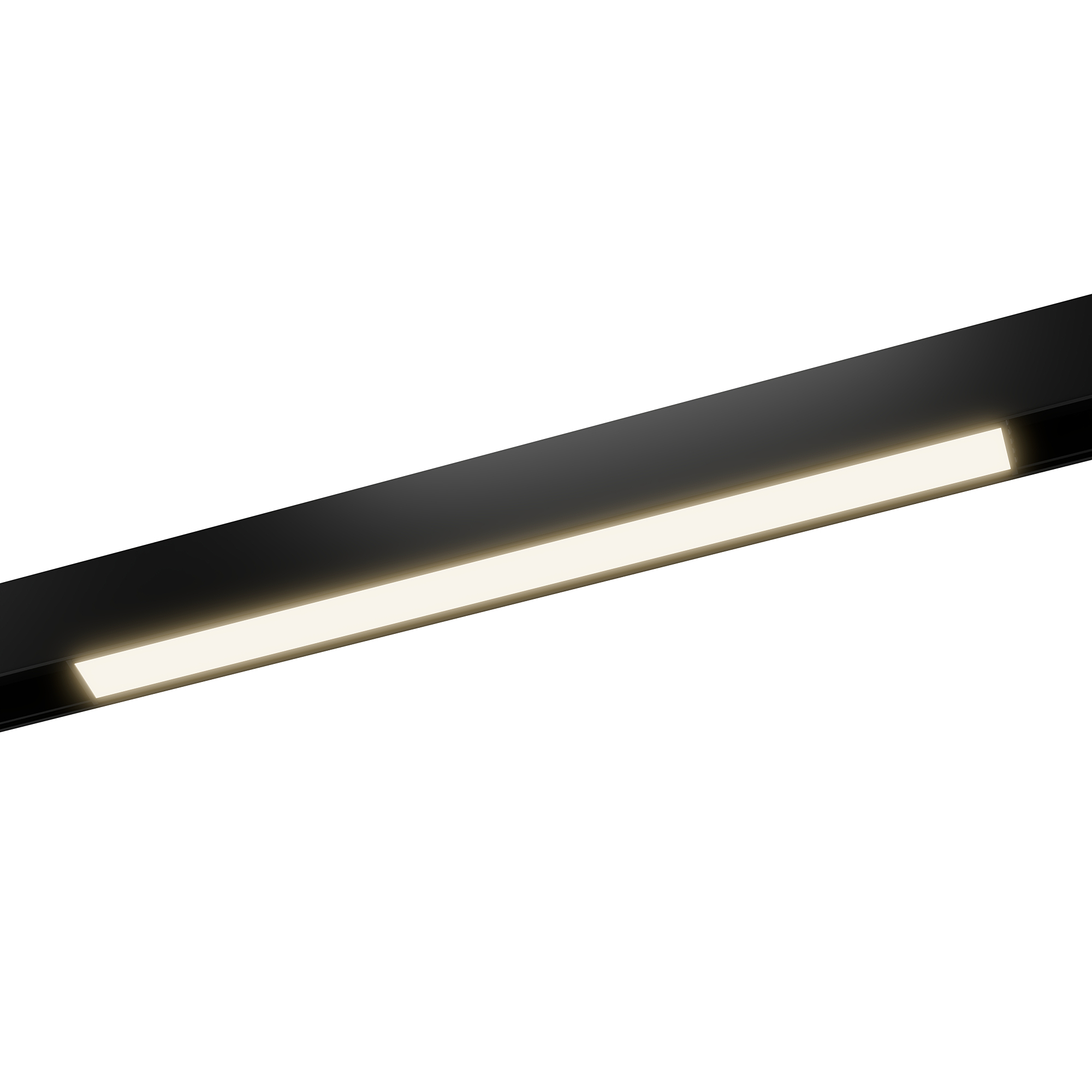 Трековый светильник LIGHTERA Startrek 48 LE166TRL-10B SMART