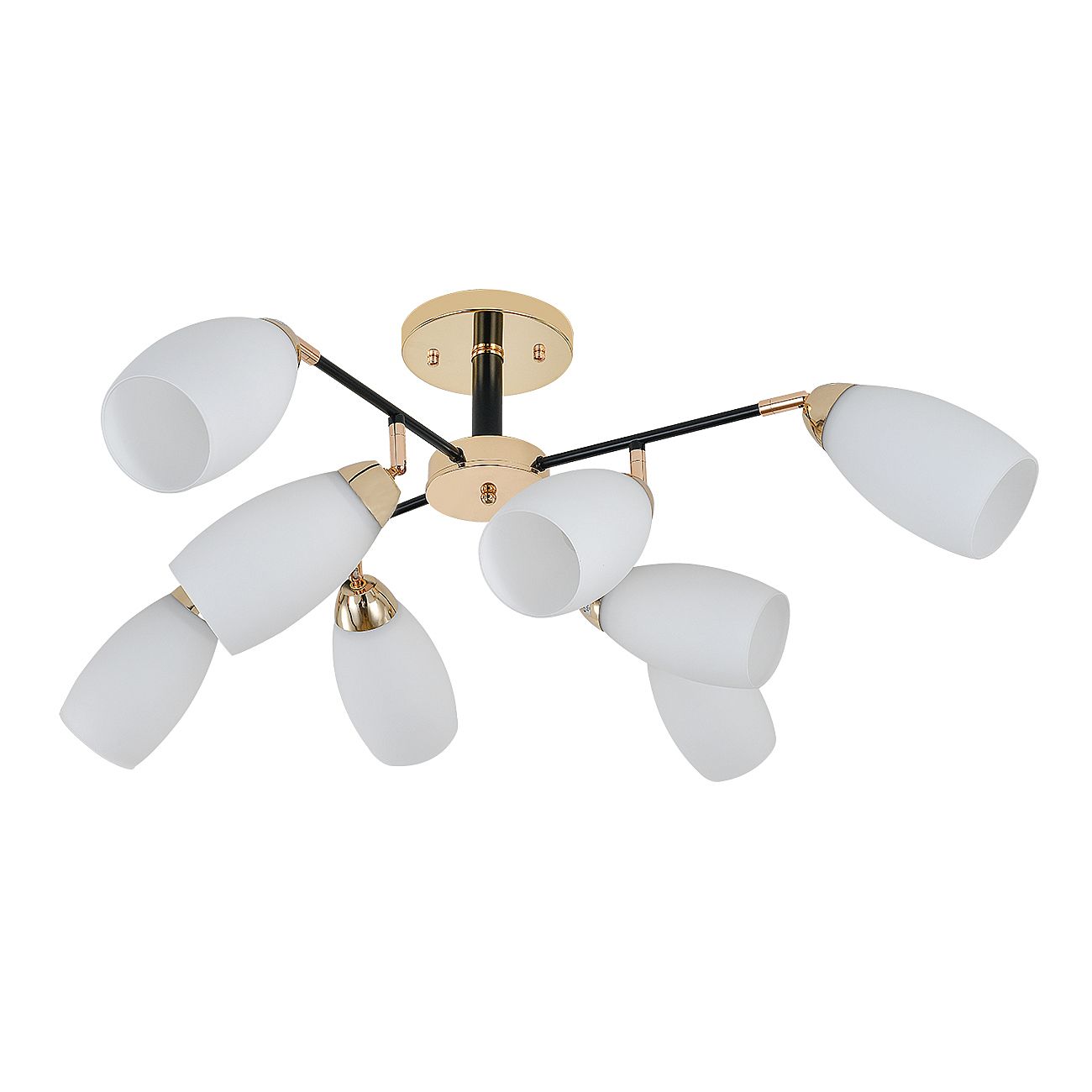 Потолочная люстра Escada Aucuba 643/8P