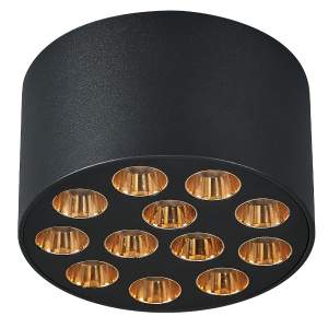 Накладной светильник Lightstar Guarda 080942