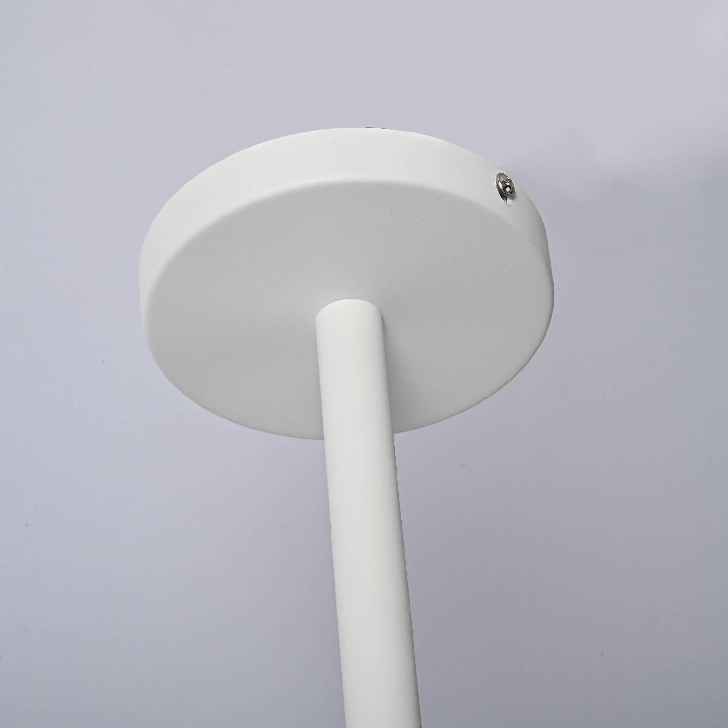 Потолочная люстра ImperiumLoft Naturaaw01 101826-26