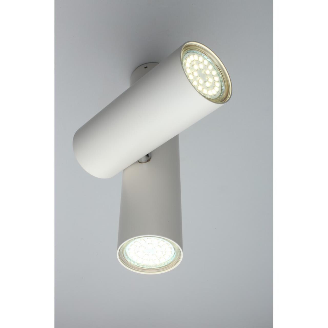 Светильник спот Aployt Aksel APL.006.02.02