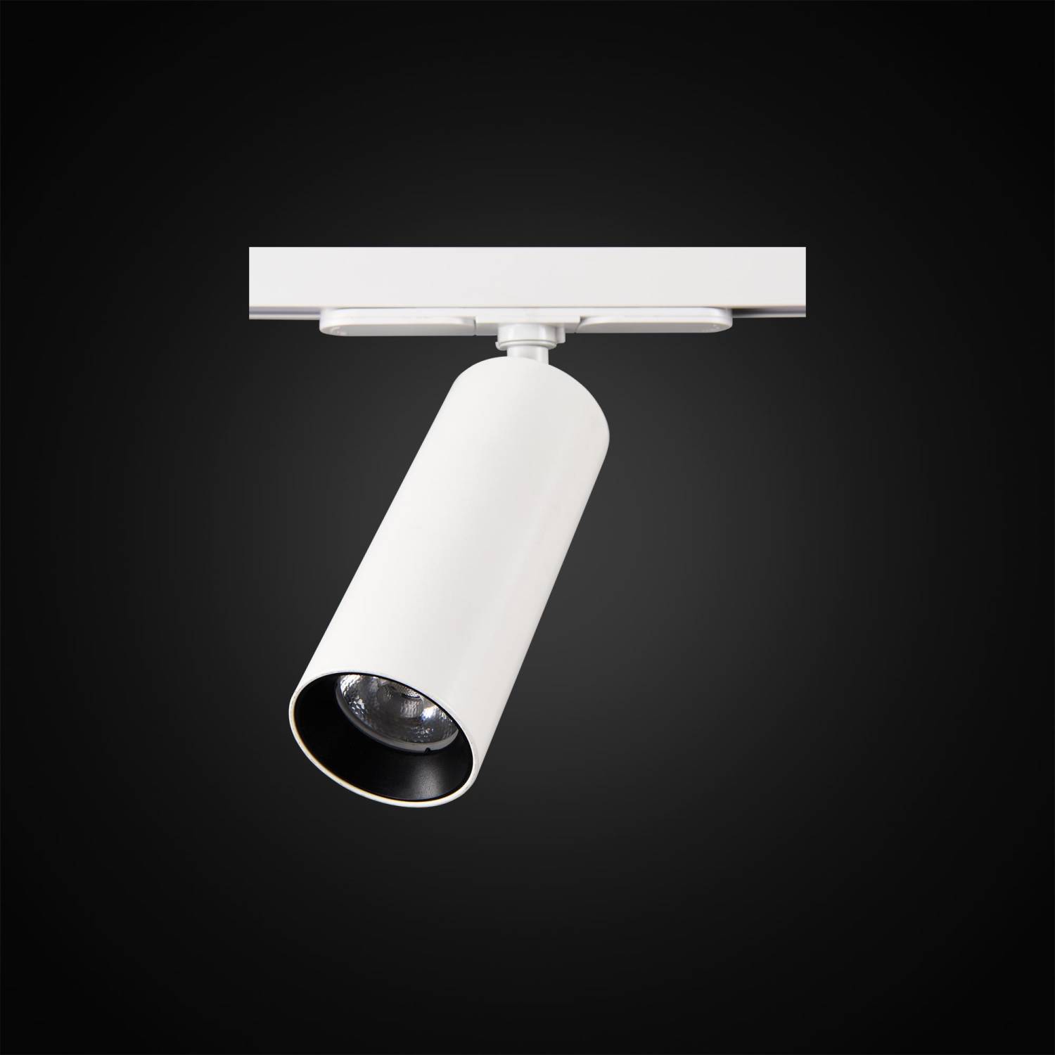 Трековый светильник Citilux Тубус CL01T120 Трековый светильник Citilux Тубус CL01T120