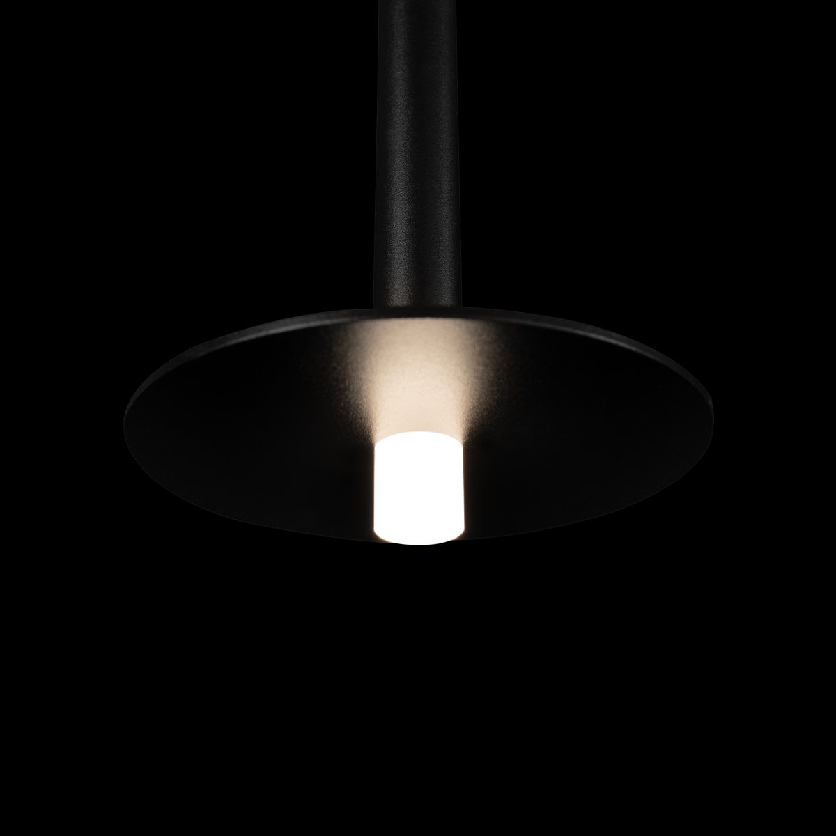 Светильник подвесной Loft It Reed 10358/830 Disk