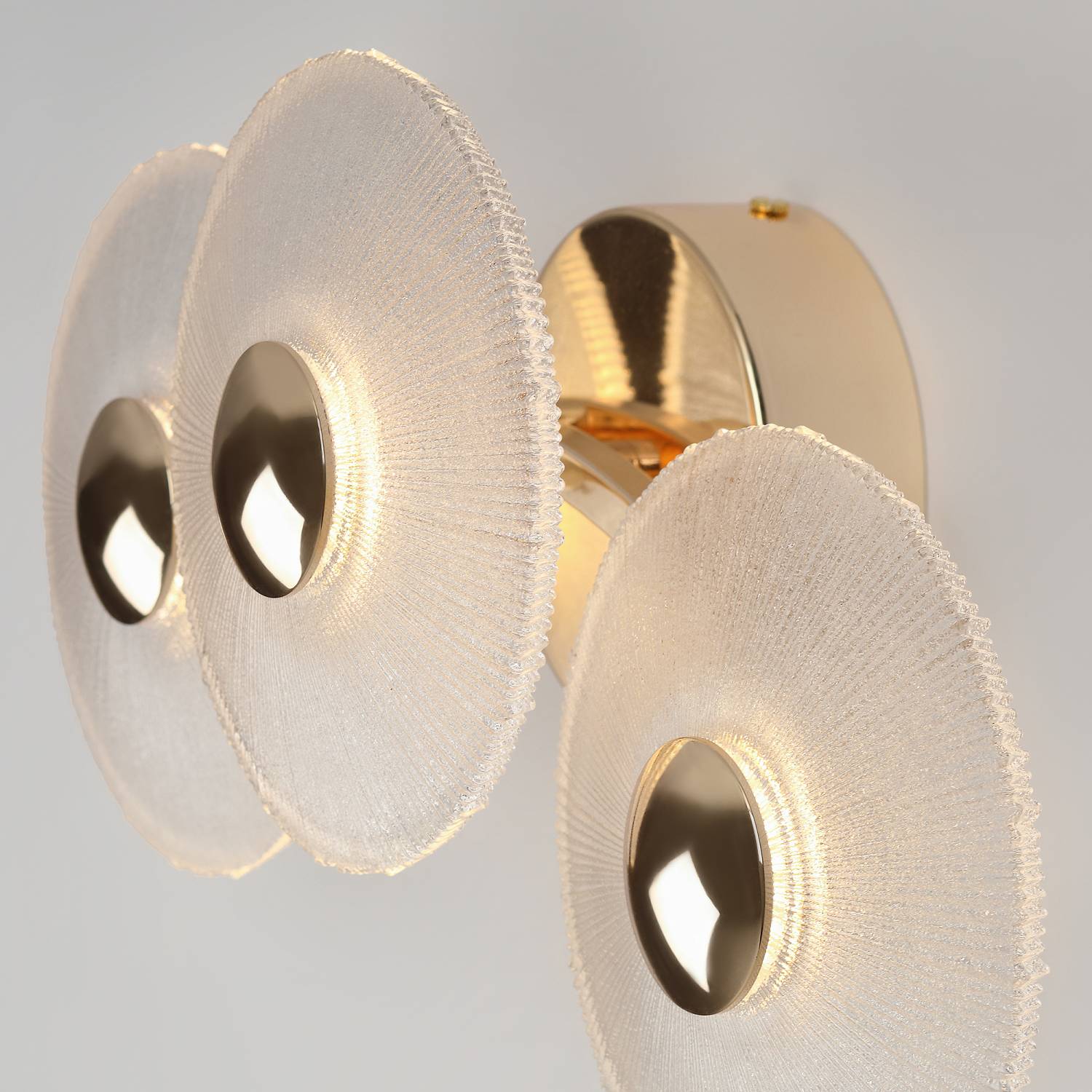 Настенный светильник Rivoli Helena 6134-401