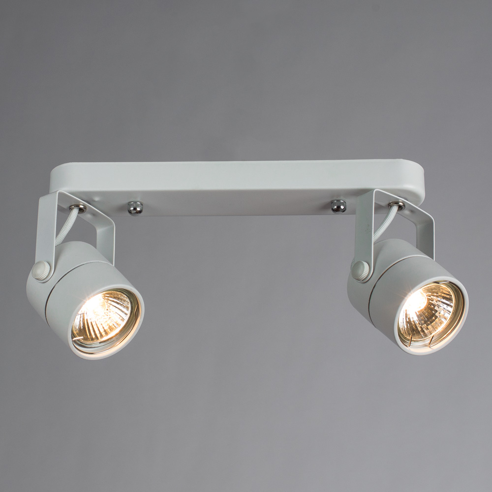Светильник спот Arte Lamp Lente A1310PL-2WH