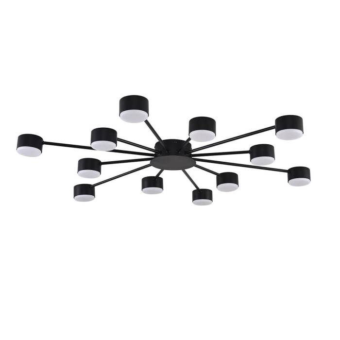 Потолочная люстра Lumion Torina 8344/12C Потолочная люстра Lumion Torina 8344/12C