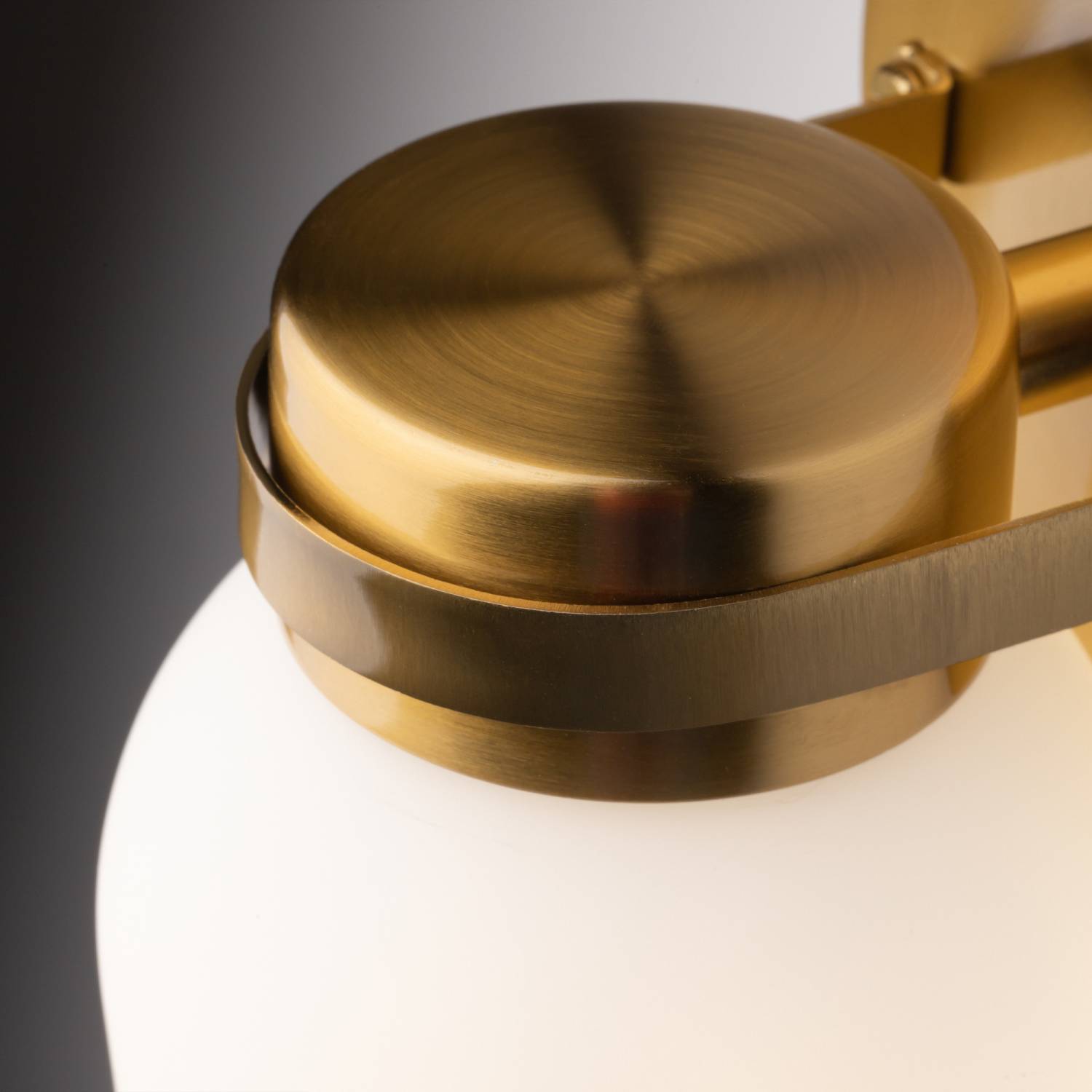 Настенное бра Freya Kamelia FR5446WL-01BS