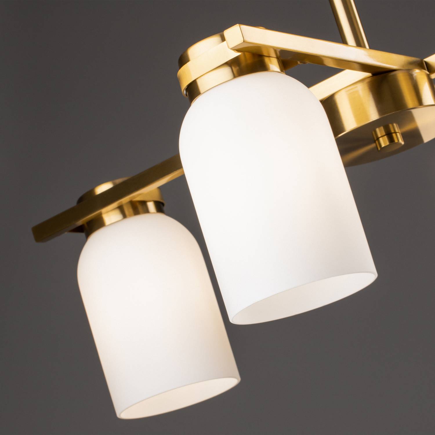 Потолочная люстра Freya Kamelia FR5446PL-04BS1