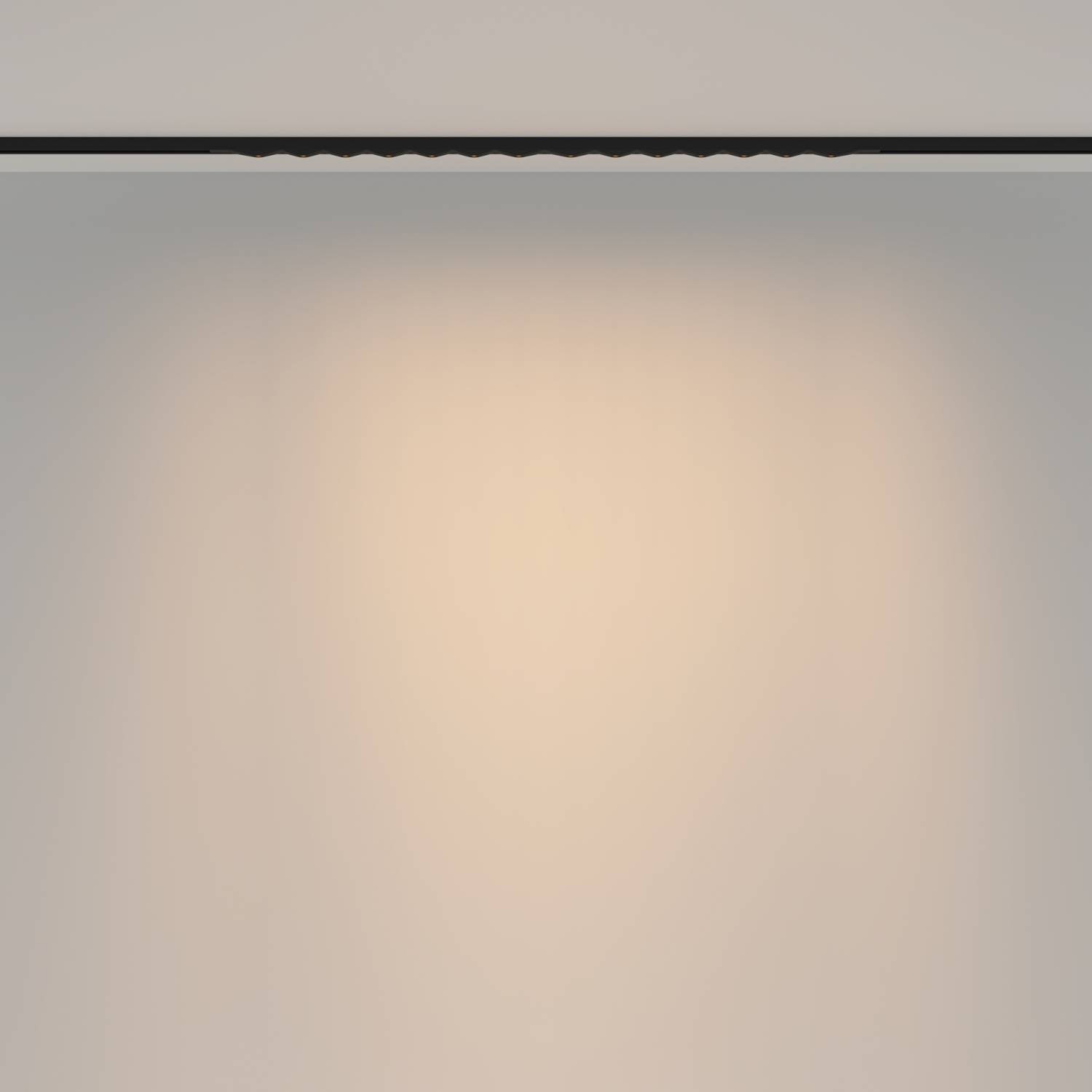 Трековый светильник Maytoni Spiky TR175-1-24WTW-M-B