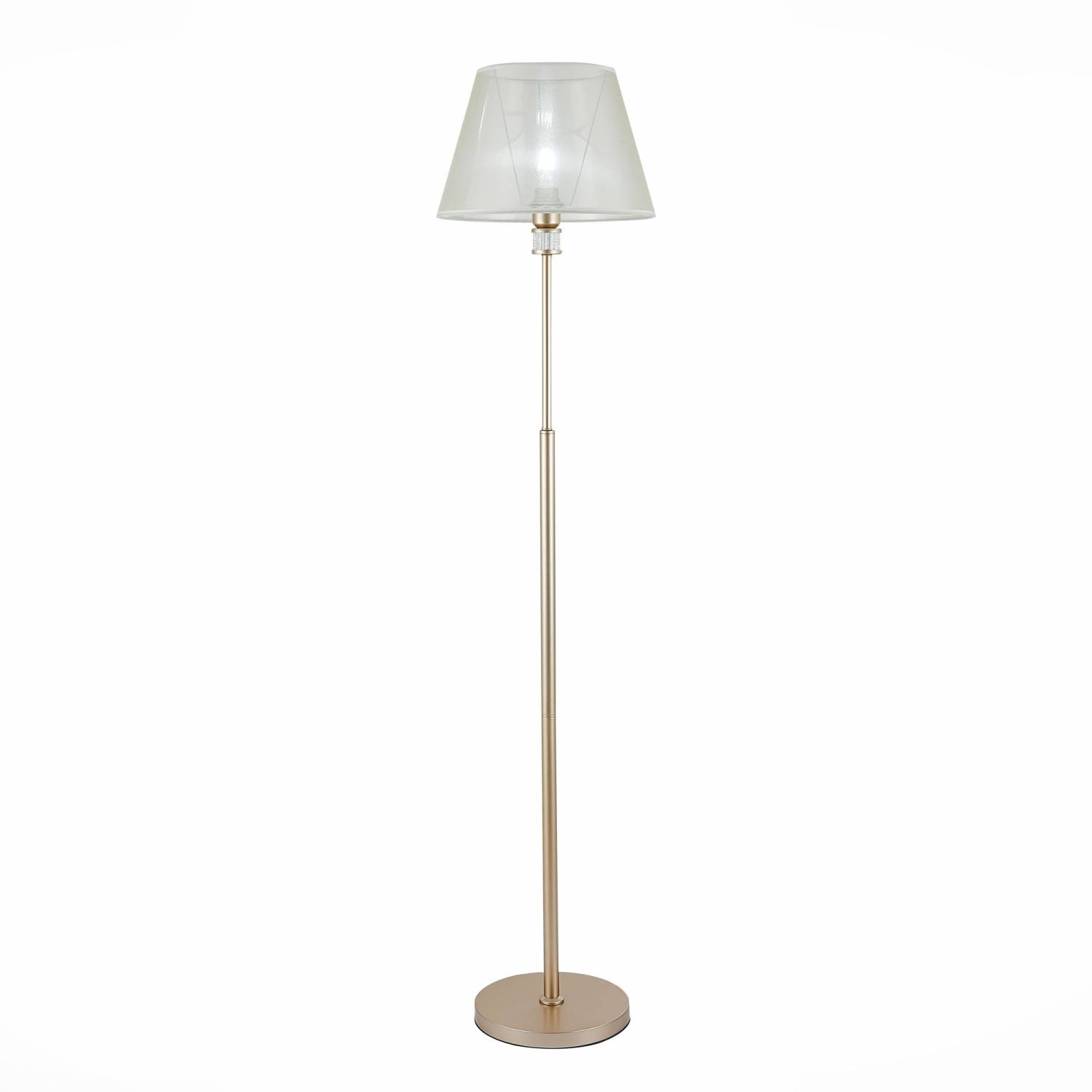 Торшер Evoluce Manila SLE107505-01