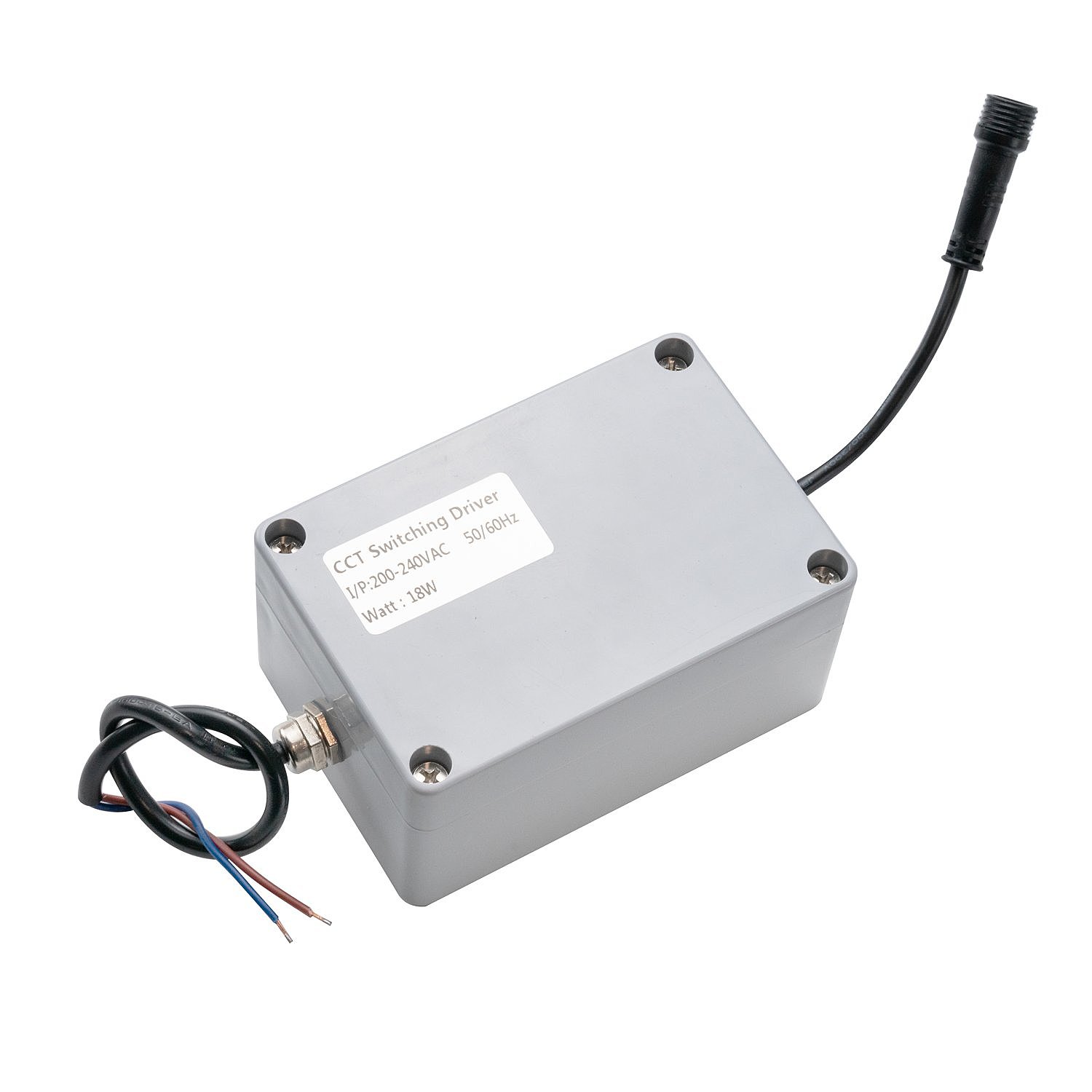 Уличный потолочный светильник Favourite Riga 4862-2U