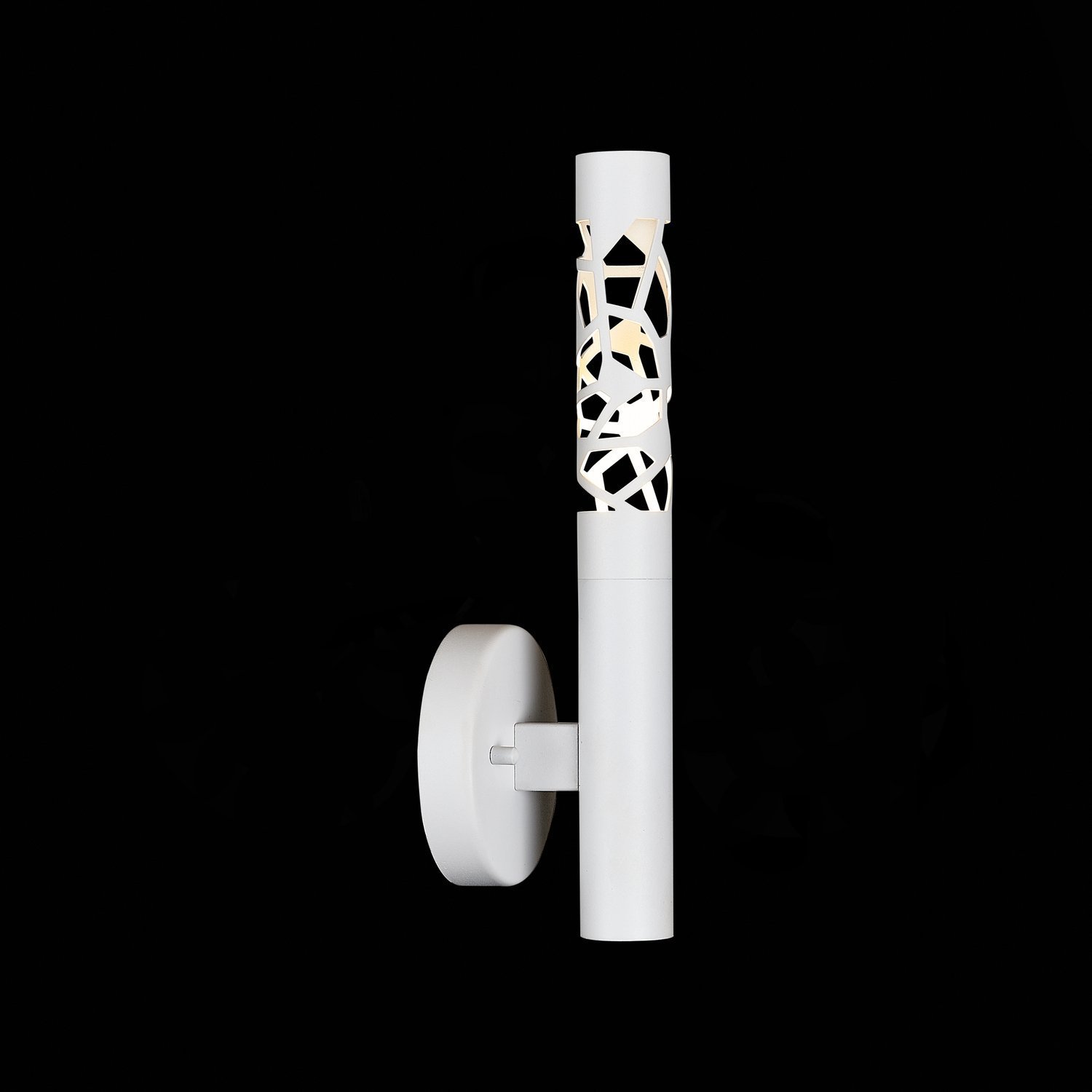 Настенное бра ST Luce Fizorio SL1577.501.01