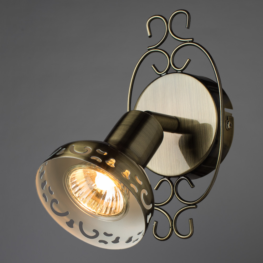 Светильник спот Arte Lamp FOCUS A5219AP-1BR