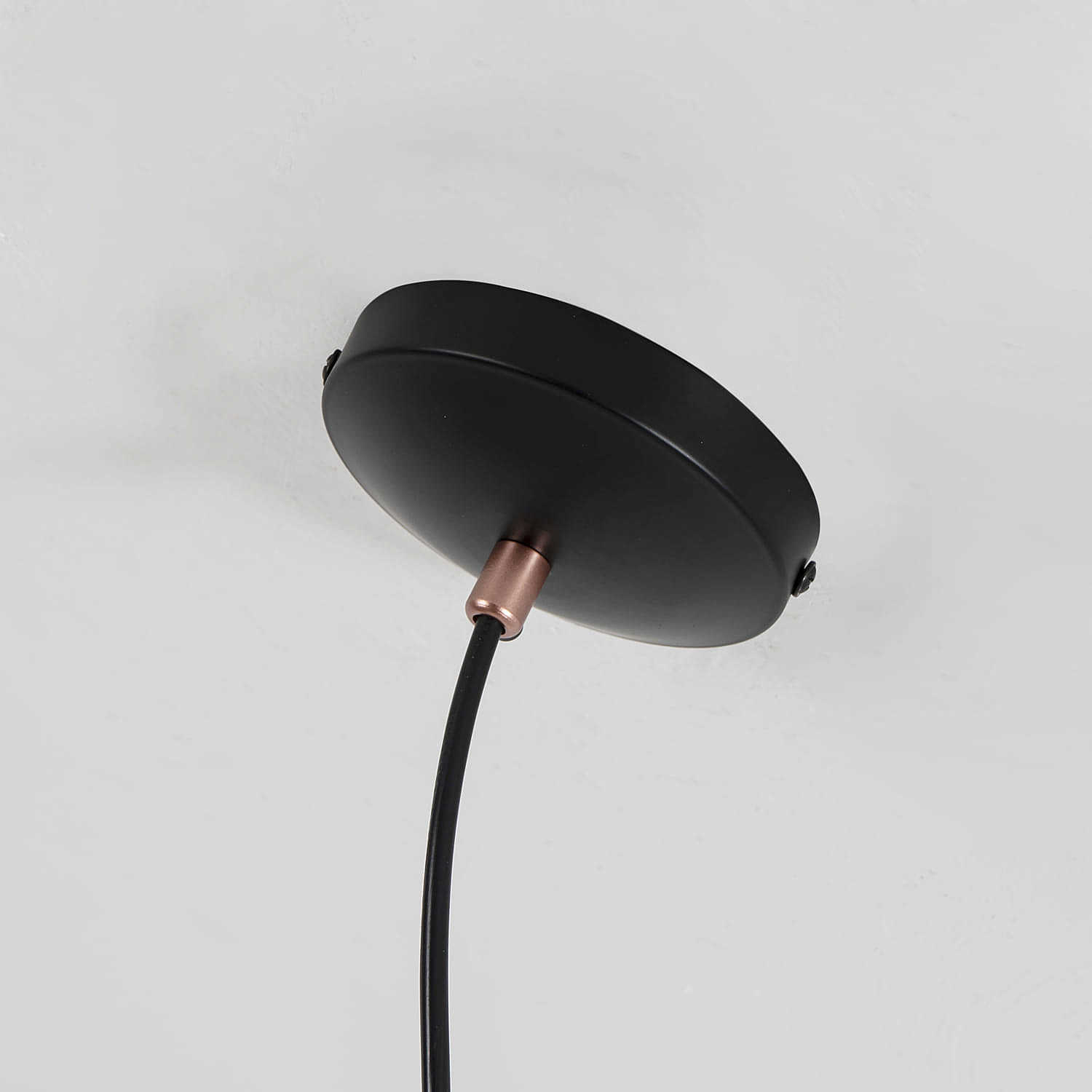 Светильник подвесной Favourite Ampolla 2007-1P